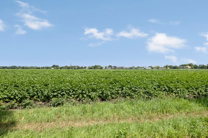 Foto 46 van Kwaalburg 2