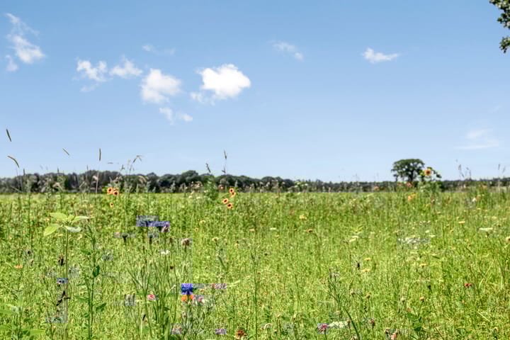 Foto 49 van Kwaalburg 2