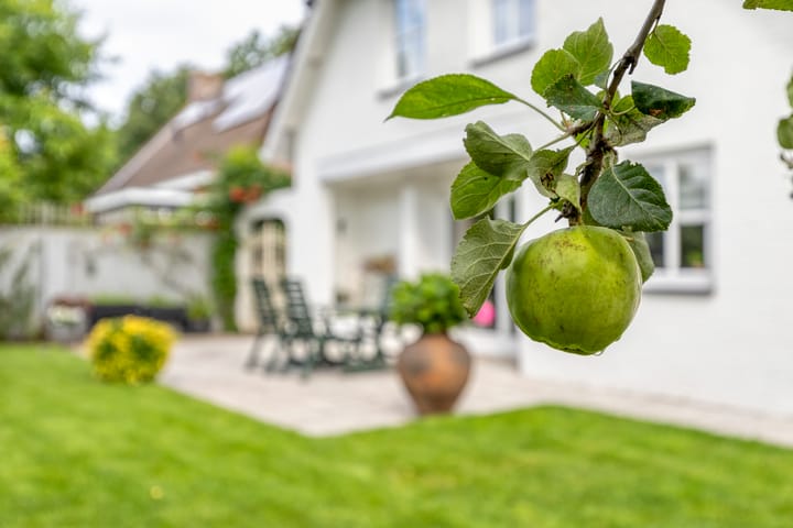 Foto 40 van Spoorpad 25