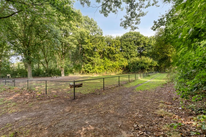 Foto 41 van Spoorpad 25