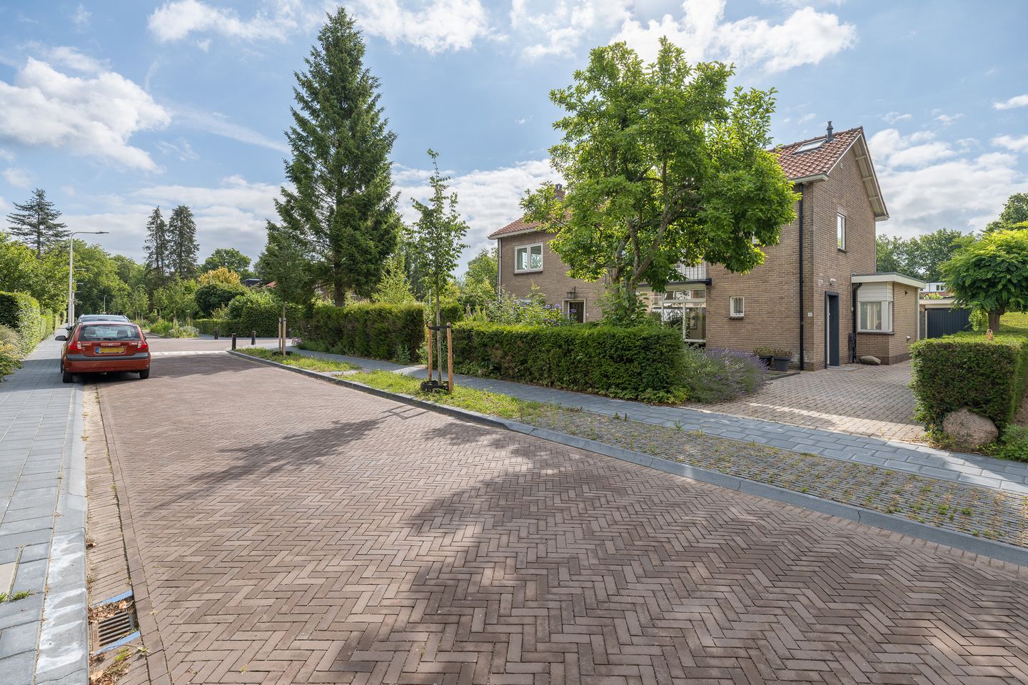 Foto 49 van Dennenhorst 19