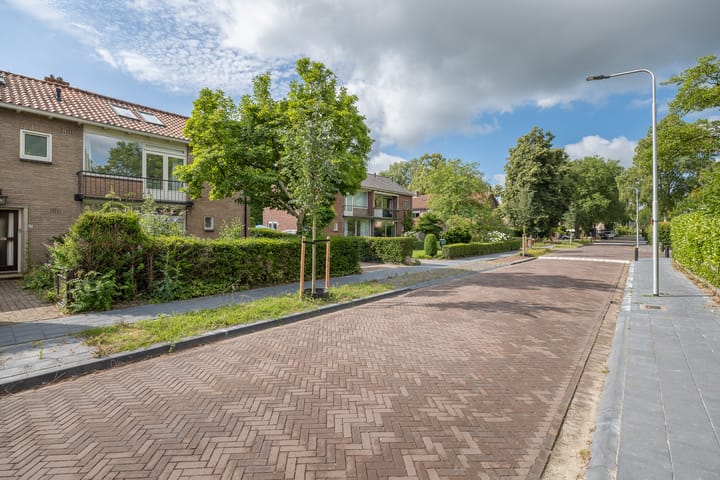 Foto 50 van Dennenhorst 19