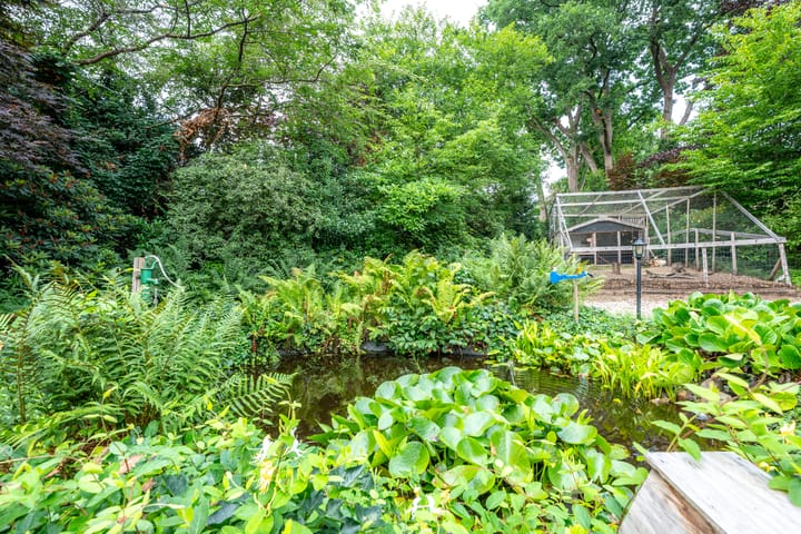 Foto 22 van Bergweg 37