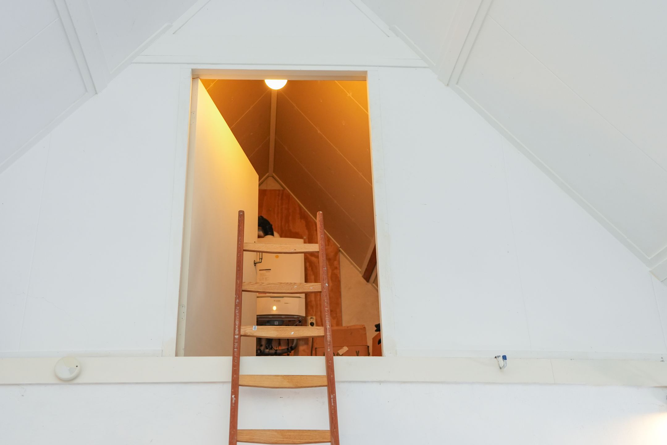 Foto 36 van Berg en Dalseweg 116