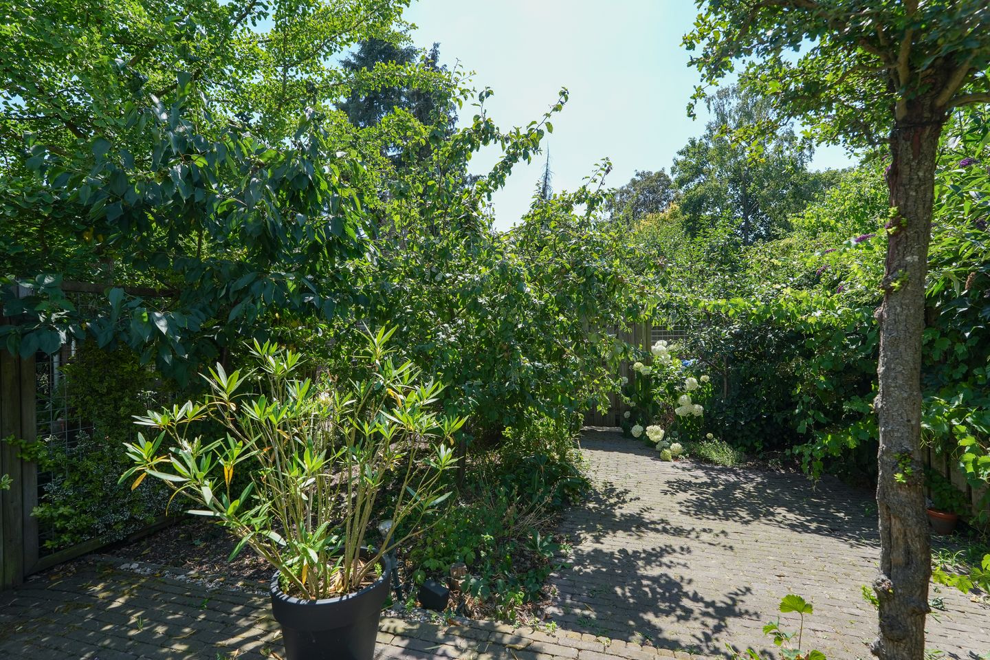 Foto 50 van Berg en Dalseweg 116