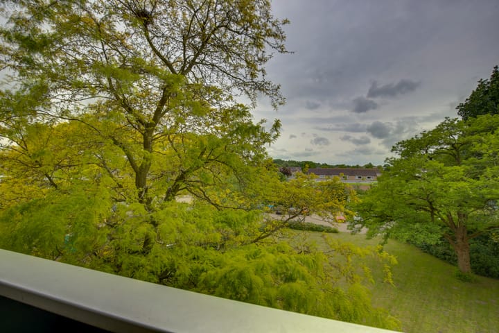 Foto 22 van Scheerling 149