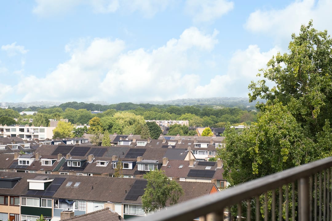 Foto 11 van Kraaiensteinlaan 153