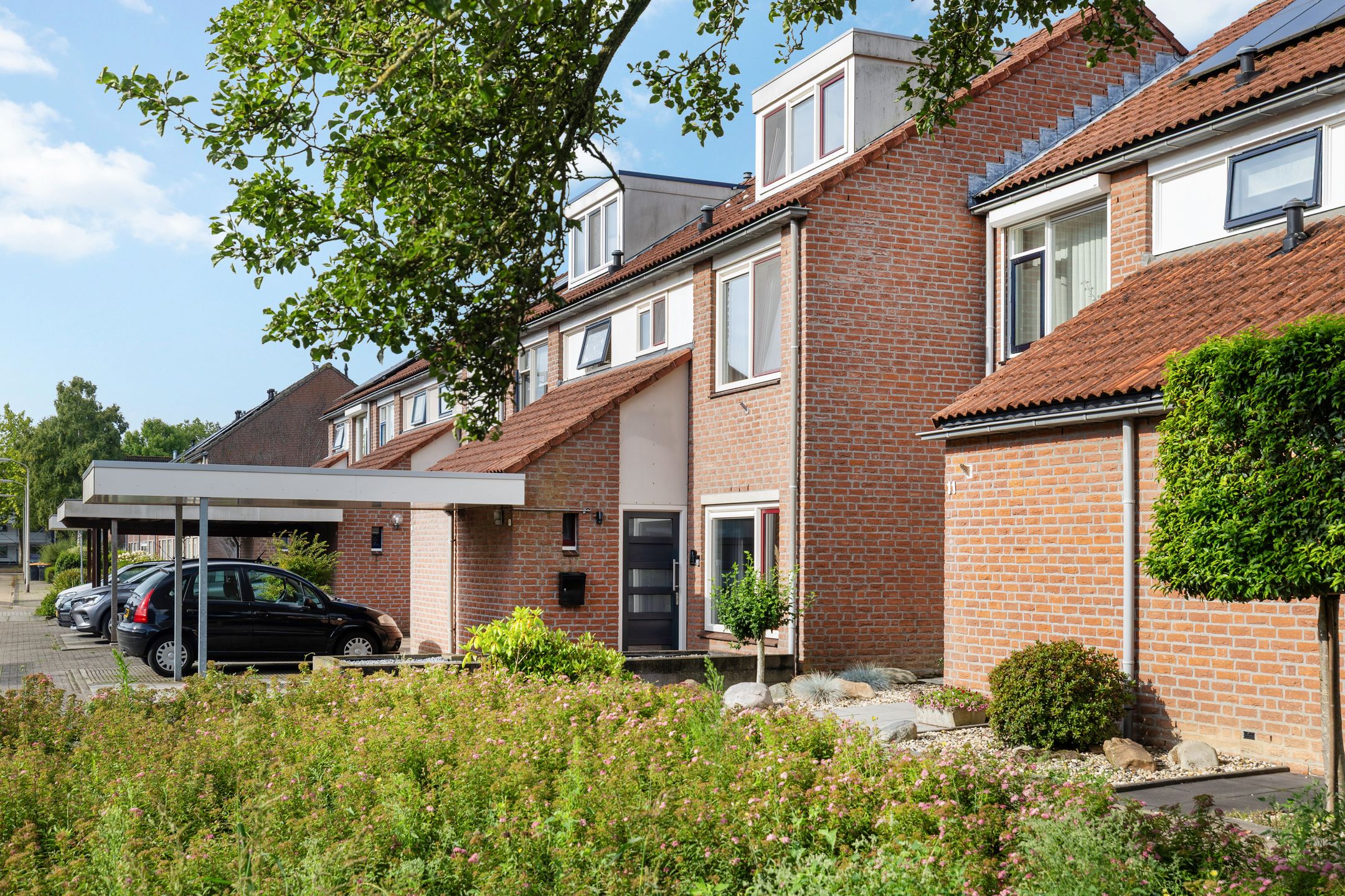 Foto 3 van Winterkoninkje 9