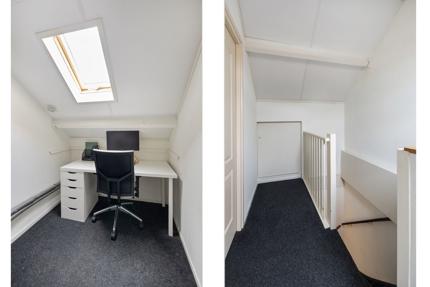 Foto 20 van Winterkoninkje 9