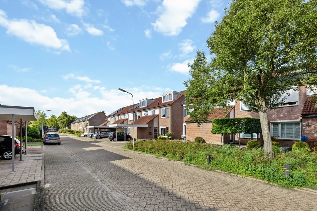 Foto 28 van Winterkoninkje 9