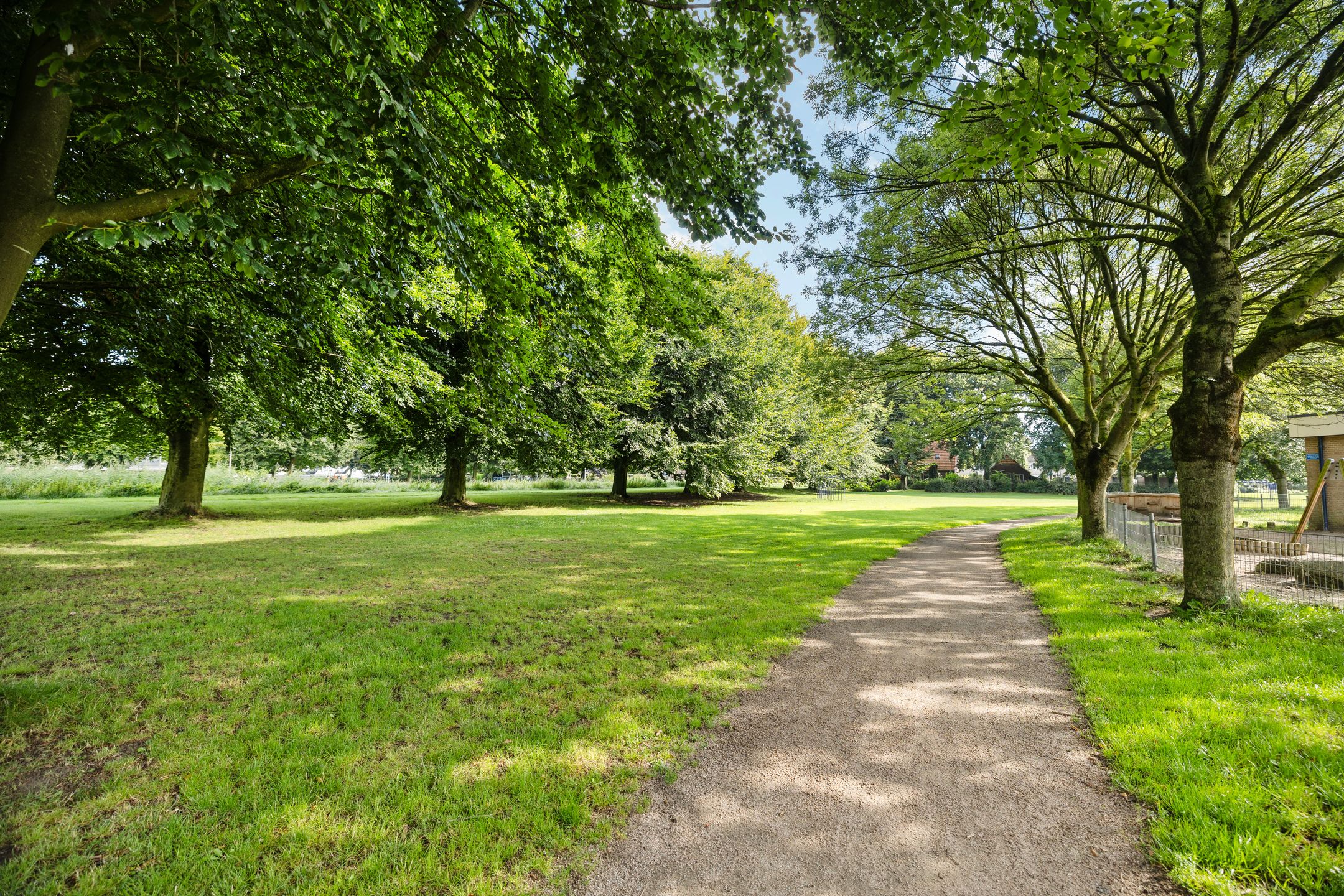 Foto 30 van Winterkoninkje 9