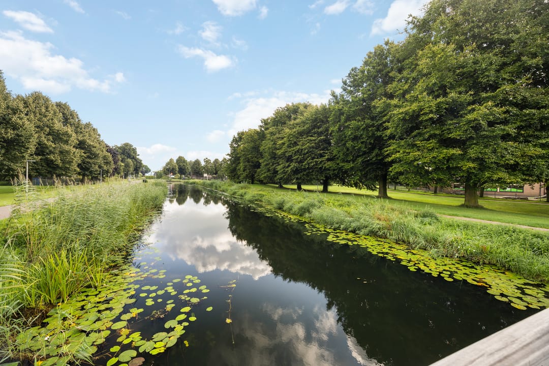 Foto 31 van Winterkoninkje 9