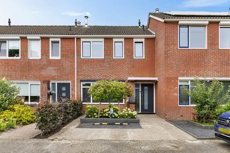 undefined main image