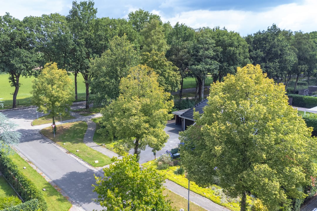 Foto 83 van Langhieten 1