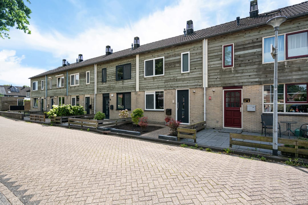 Foto 2 van Rietmees 87