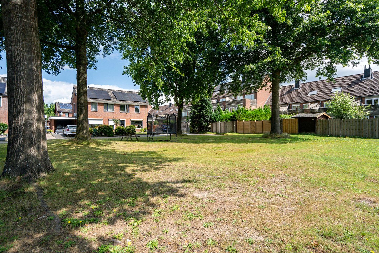 Foto 4 van Rietmees 87