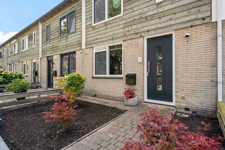 Foto 5 van Rietmees 87