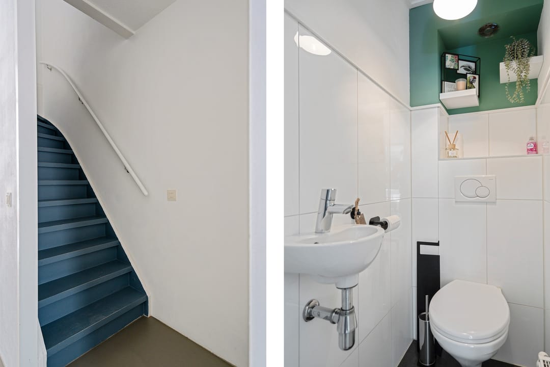 Foto 16 van Rietmees 87