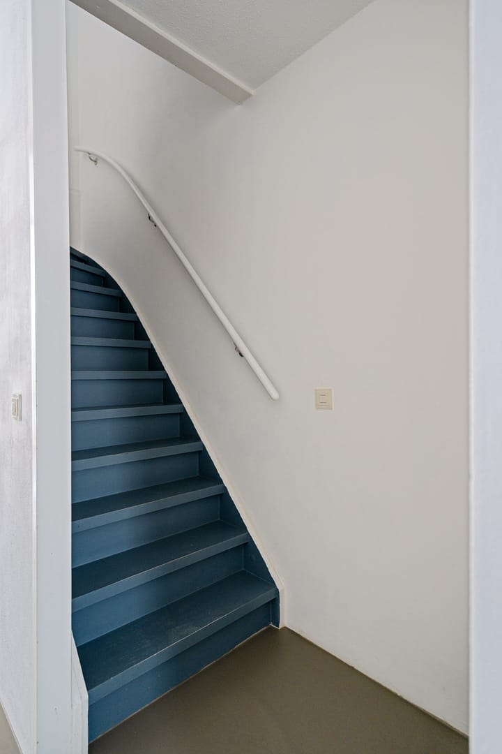 Foto 17 van Rietmees 87