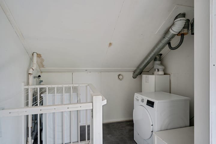 Foto 31 van Rietmees 87