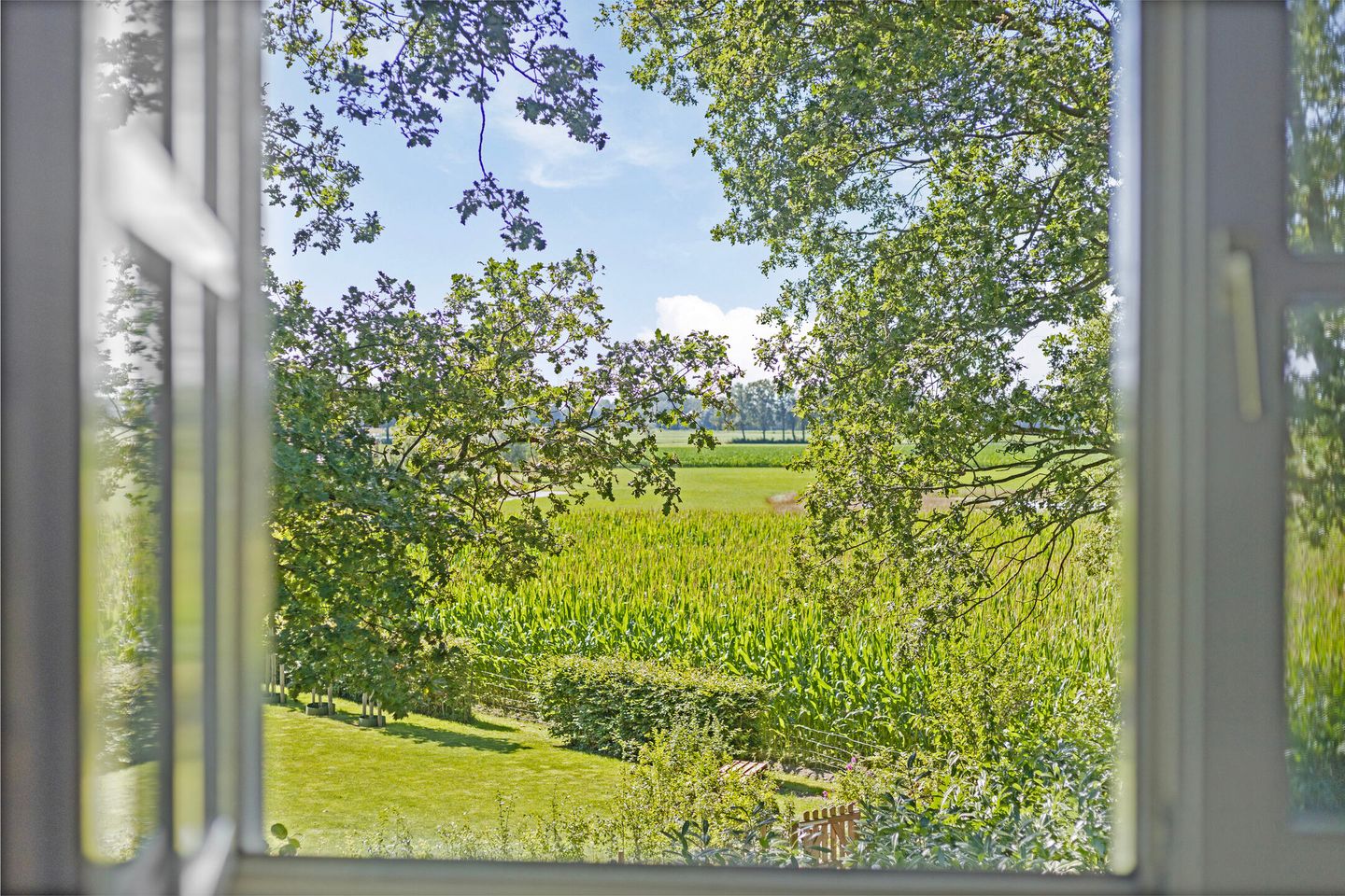 Foto 35 van Vierakkersestraatweg 18