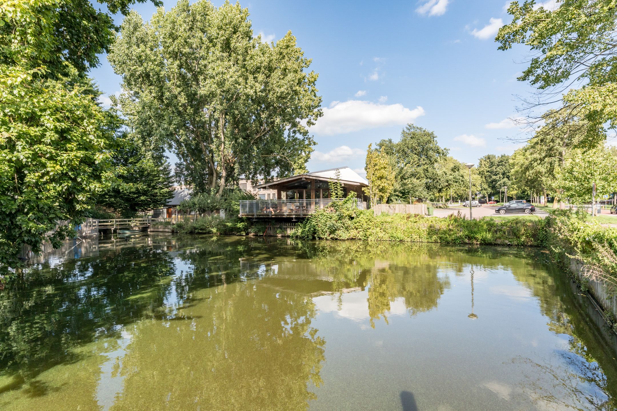 Foto 42 van Reigerlaan 24