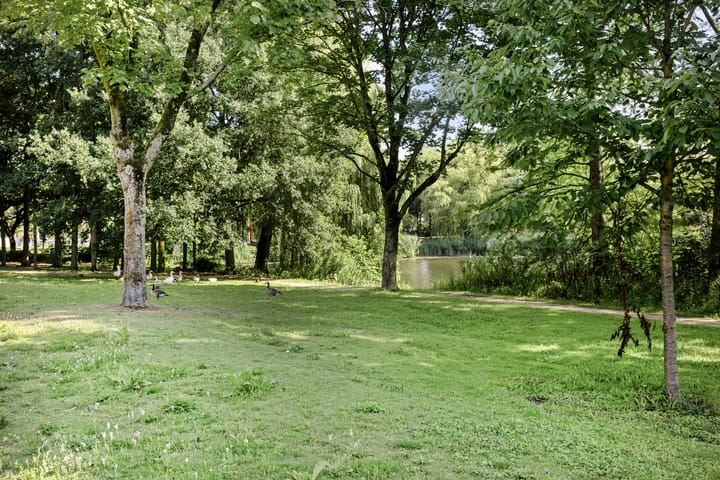 Foto 27 van Julianalaan 64