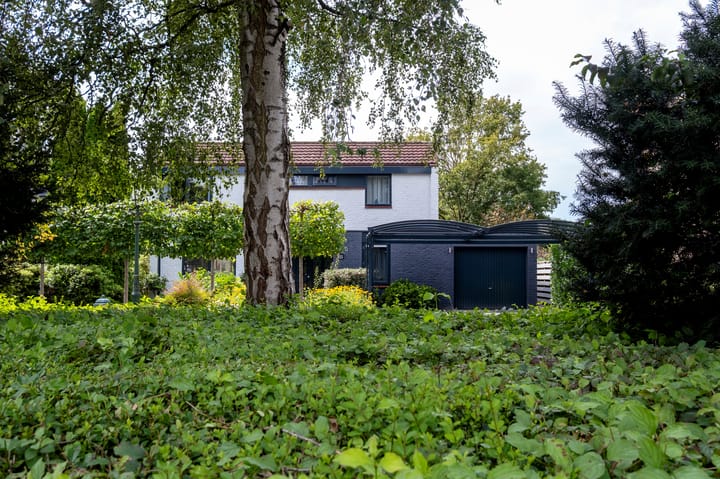 Foto 16 van Eemland 20