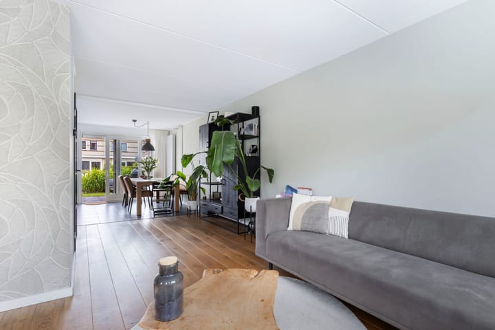 Foto 3 van Strandloper 55