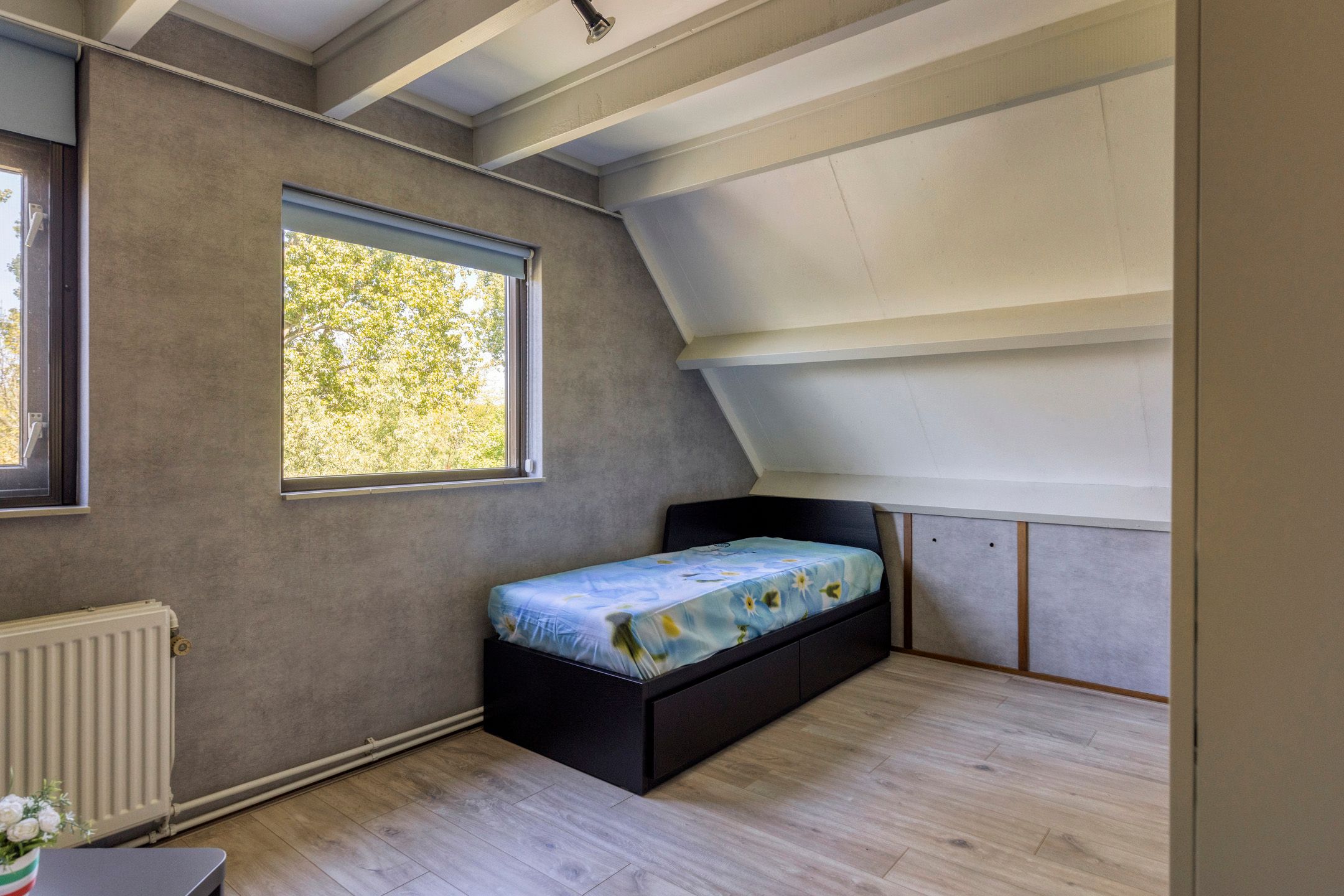 Photo 27 of Zuurbes 21