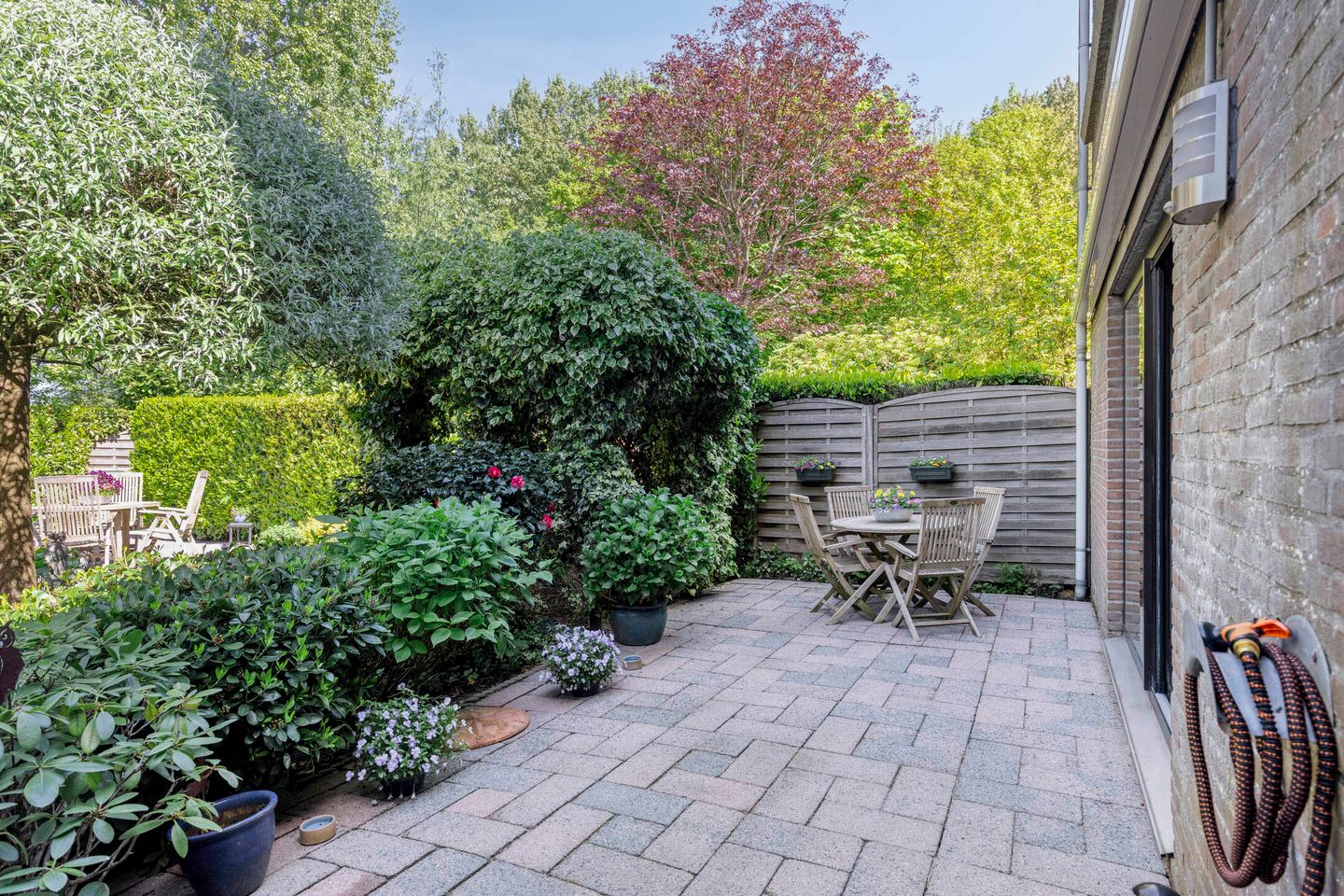 Photo 29 of Zuurbes 21