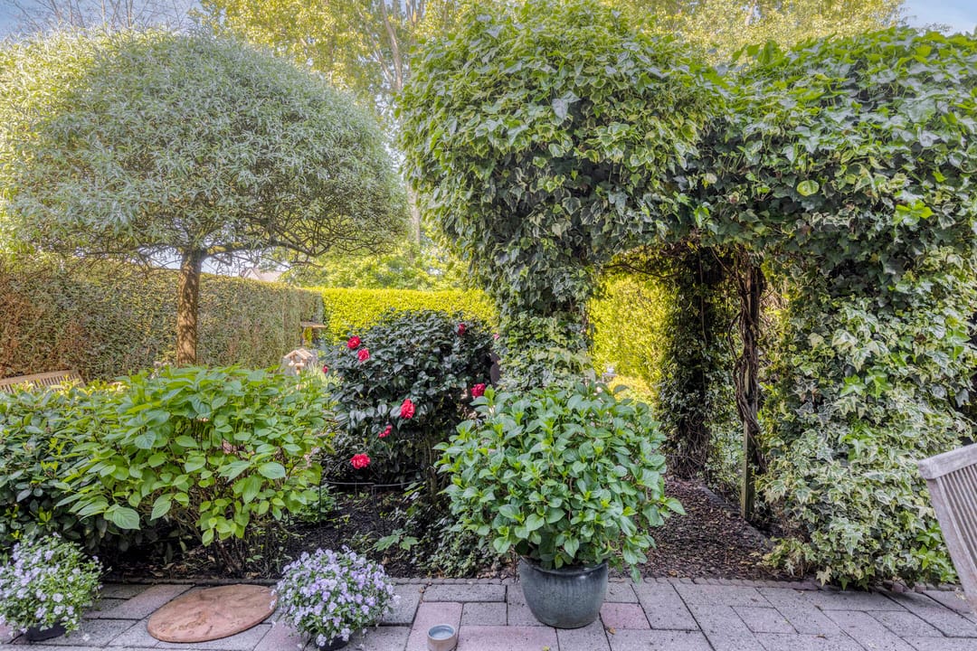 Photo 31 of Zuurbes 21