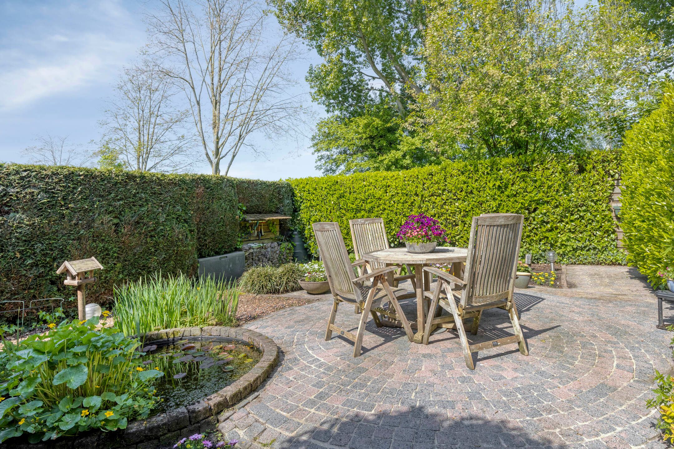 Photo 33 of Zuurbes 21