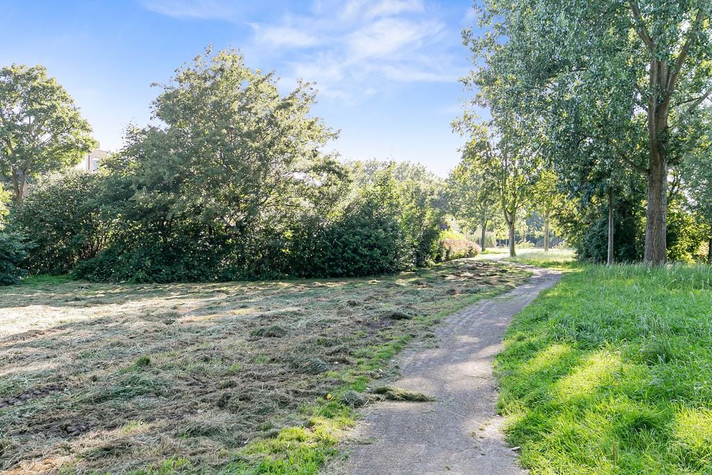 Photo 39 of Zuurbes 21