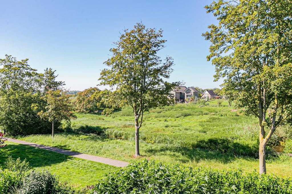 Photo 40 of Zuurbes 21