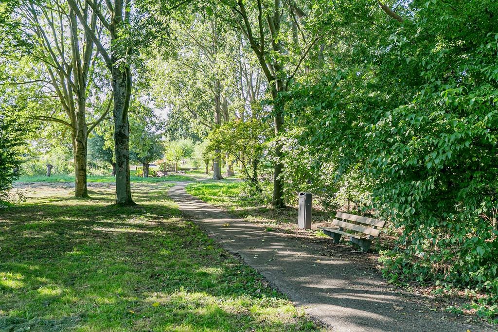 Photo 41 of Zuurbes 21