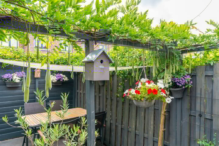 Foto 22 van Abeelstraat 13