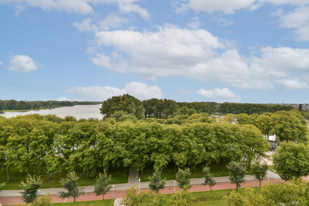 Photo 17 of Burgemeester Hogguerstraat 1077