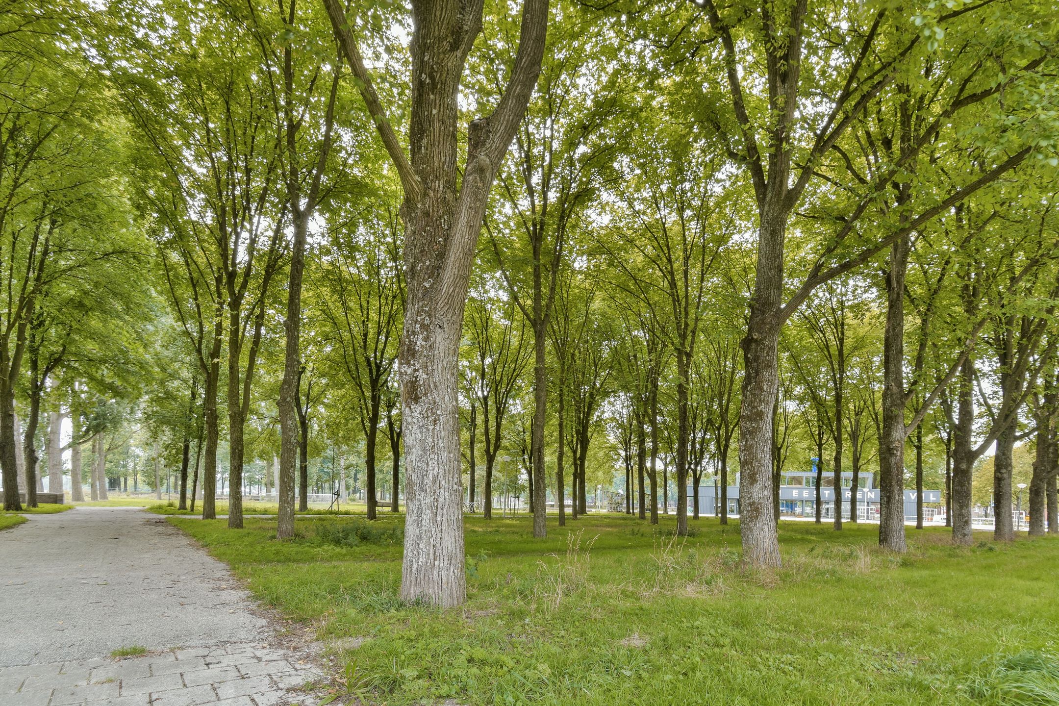 Photo 24 of Burgemeester Hogguerstraat 1077