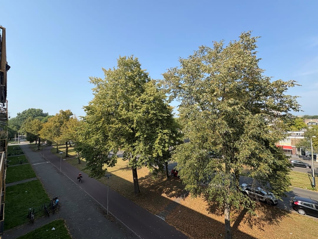 Foto 11 van Moezeldreef 235