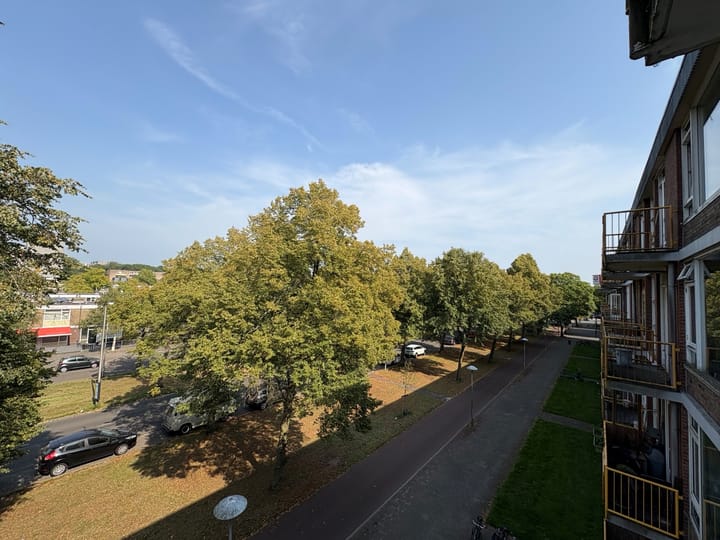 Foto 12 van Moezeldreef 235