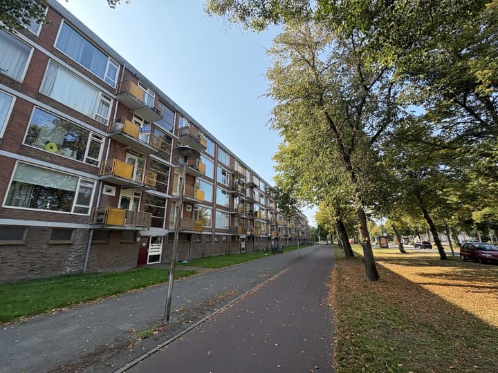 Foto 1 van Moezeldreef 235