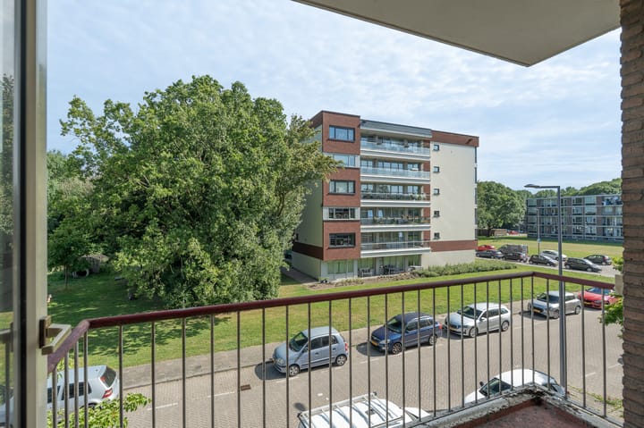 Foto 9 van Dalenoord 93