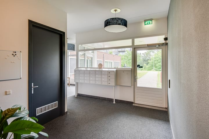 Foto 20 van Bosboompad 27