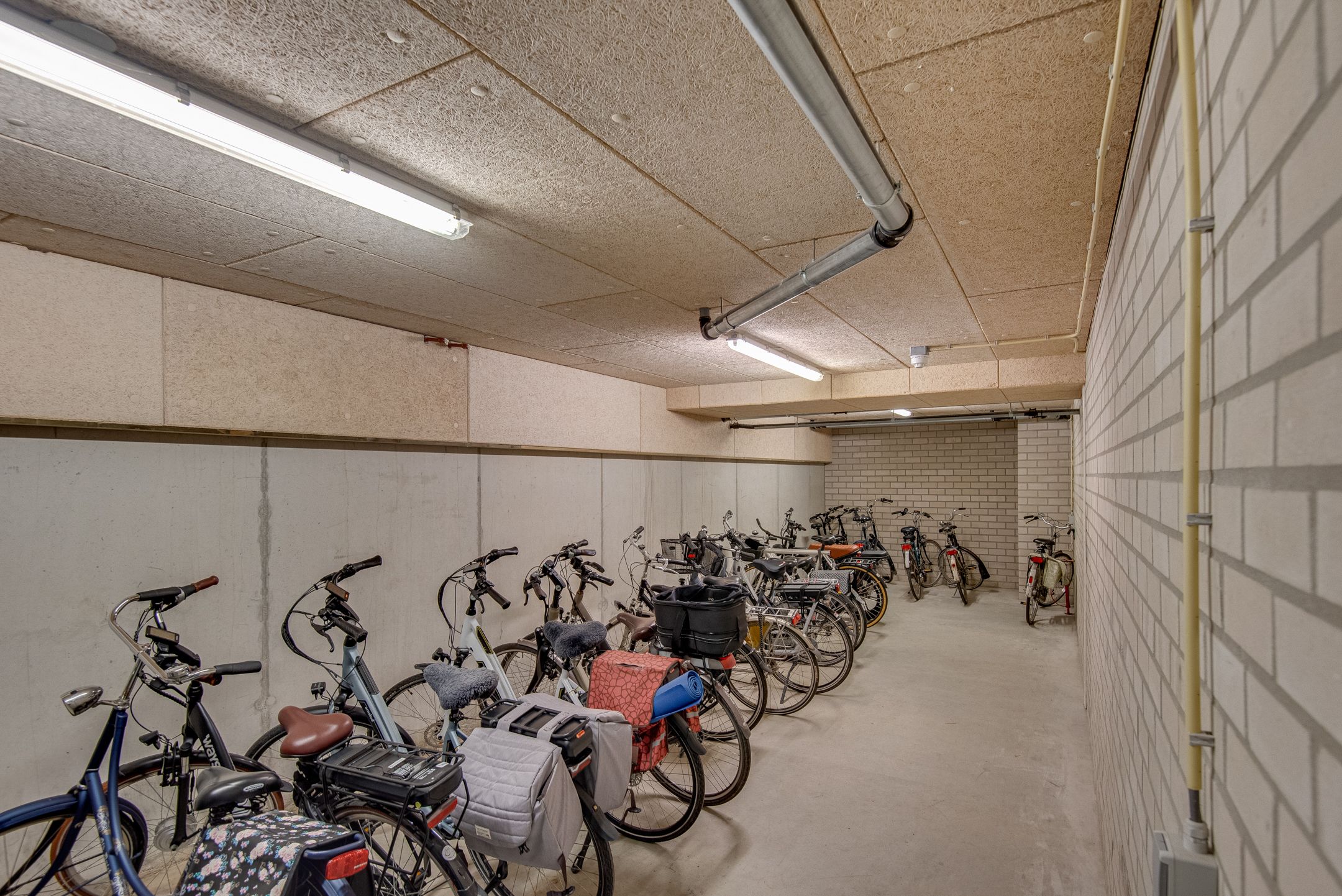 Foto 21 van Bosboompad 27