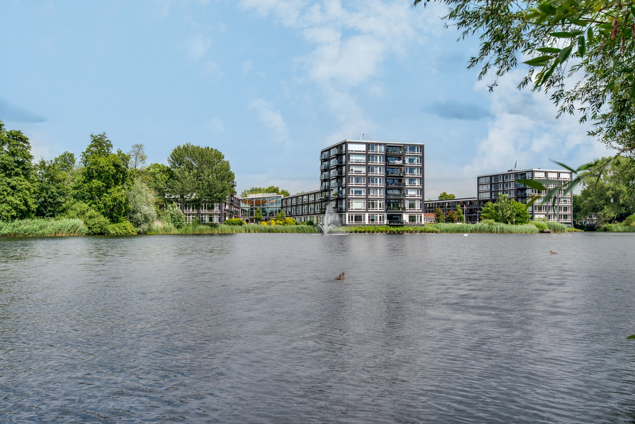 Foto 24 van Bosboompad 27