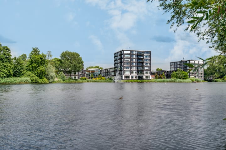 Foto 24 van Bosboompad 27