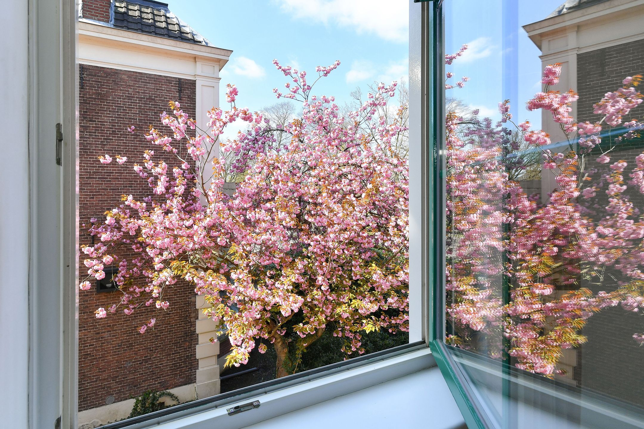 Foto 12 van Generaal Foulkesweg 36