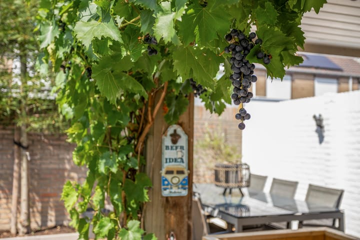 Foto 32 van Schaliedekkersdreef 89