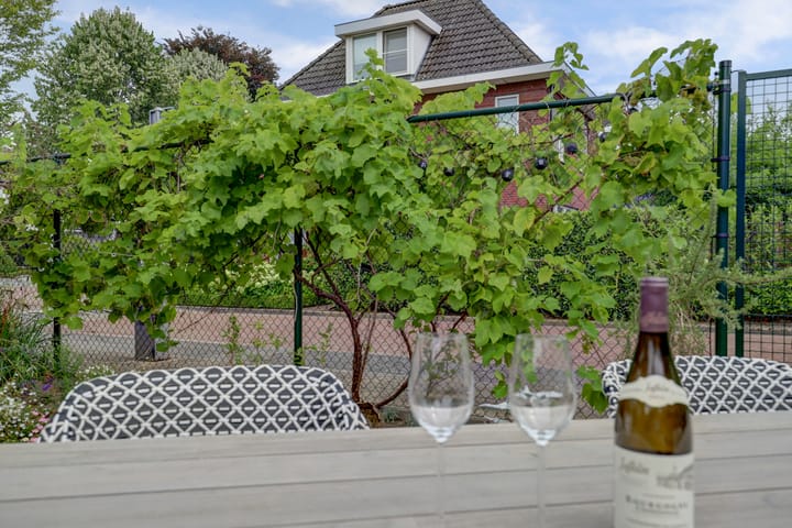 Photo 38 of Ruijsstraat 40